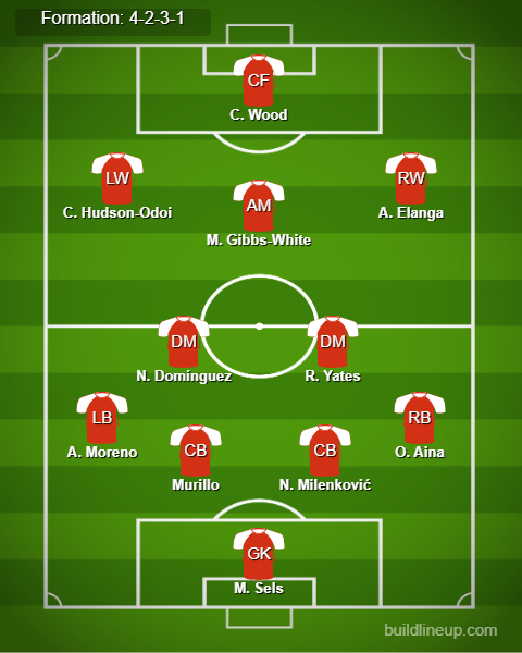 Nottingham vs Newcastle Predicted Lineups. Image Credits:- Buildlineup.com.