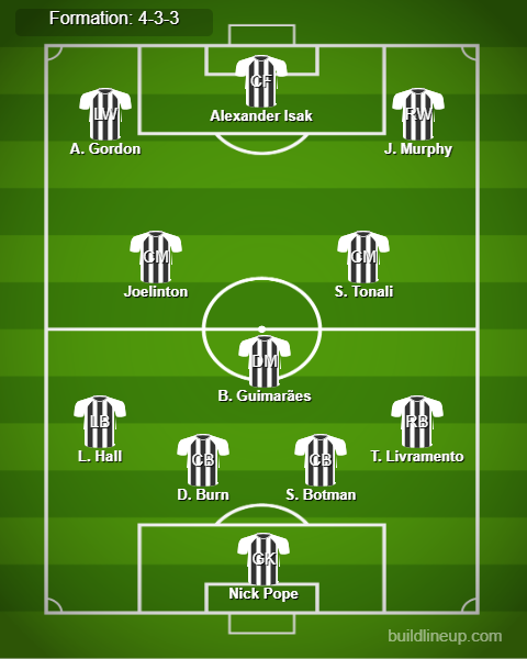 Newcastle vs Fulham Predicted Lineups. Image Credits:- Buildlineup.com.