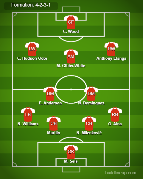 Newcastle vs Nottingham Predicted Lineups. Image Credits:- Buildlineup.com.